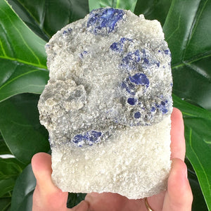 Lazurite Specimen | Intuition, Wisdom & Spiritual Awareness