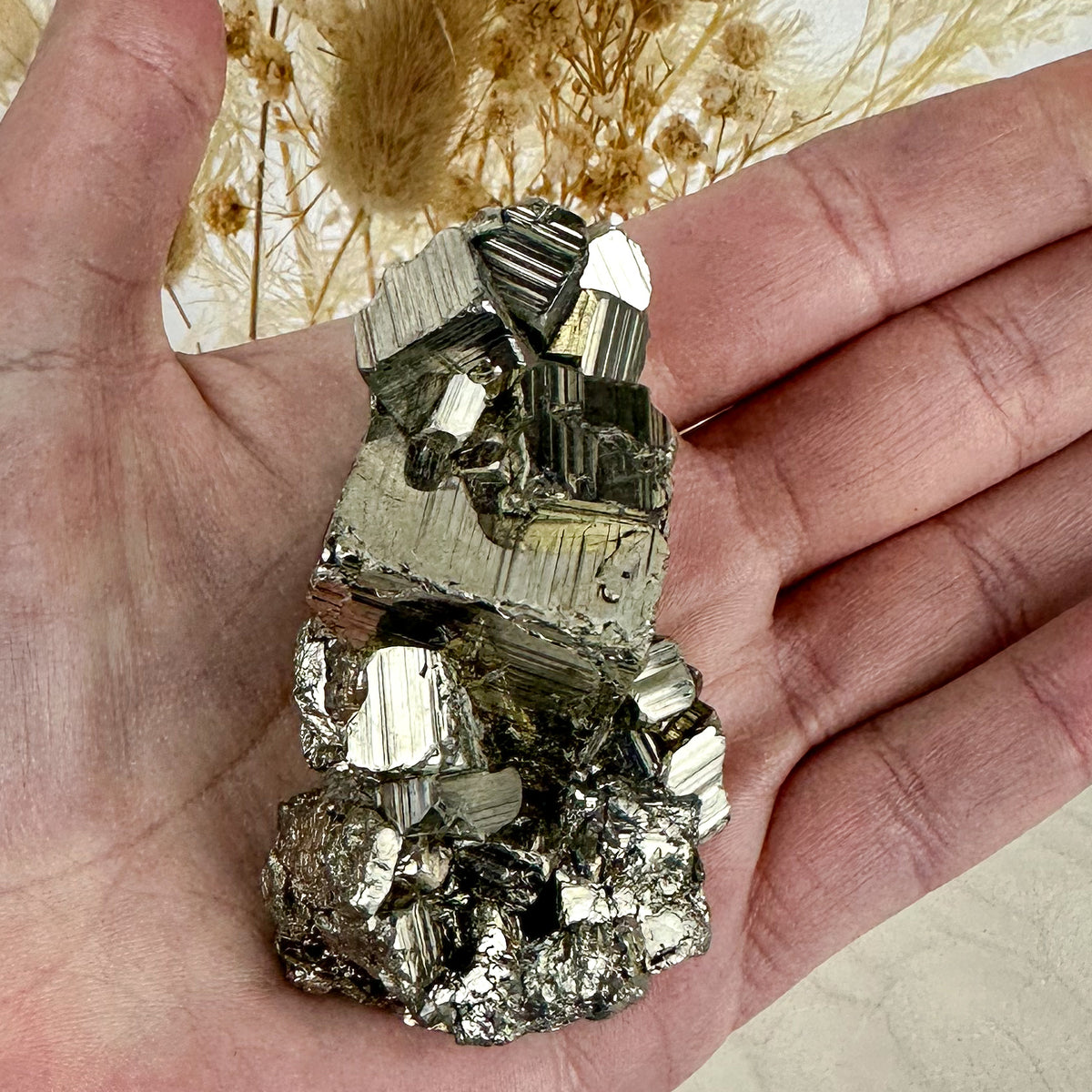 Golden Brilliance: Premium Pyrite Cluster of Strength