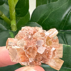 Natural Aragonite Sputnik | Grounding Crystal & Calming Energy