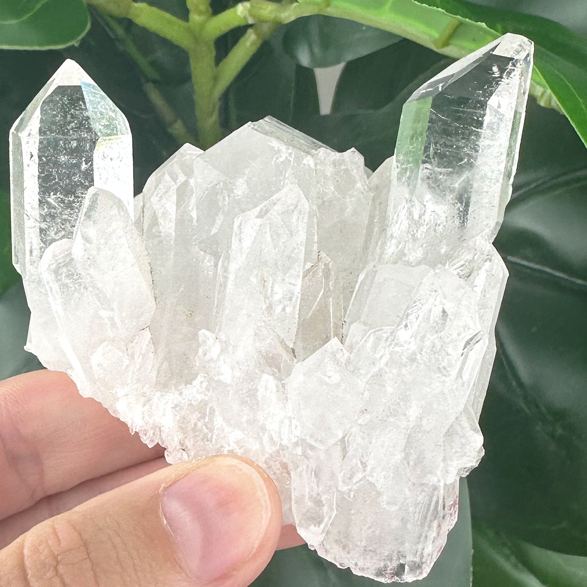 Clear Quartz Cluster | Natural Crystal | Clarity & Energy Amplification
