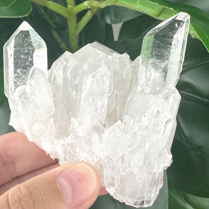 Clear Quartz Cluster | Natural Crystal | Clarity & Energy Amplification