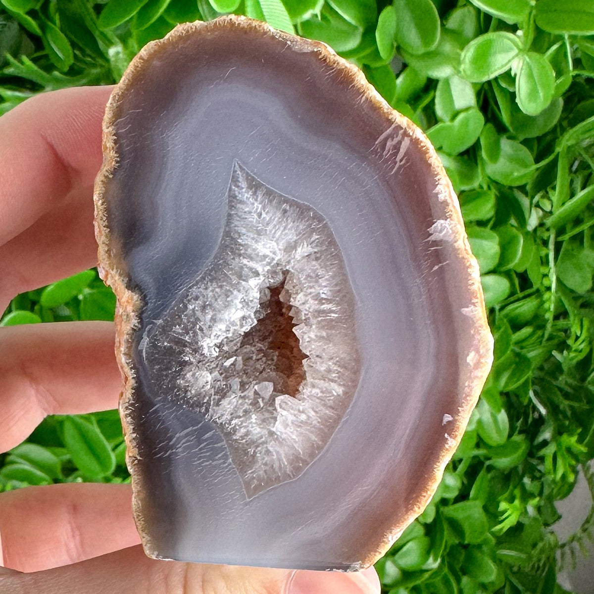 Agate Slice with Deep Druzy Pocket | Triangular Cavern-Like Center | Freestanding Raw