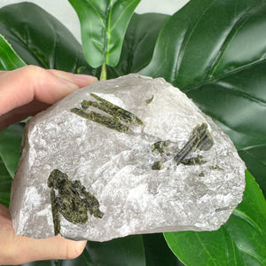 Large Epidote in Quartz Crystal | Transformation & Spiritual Growth