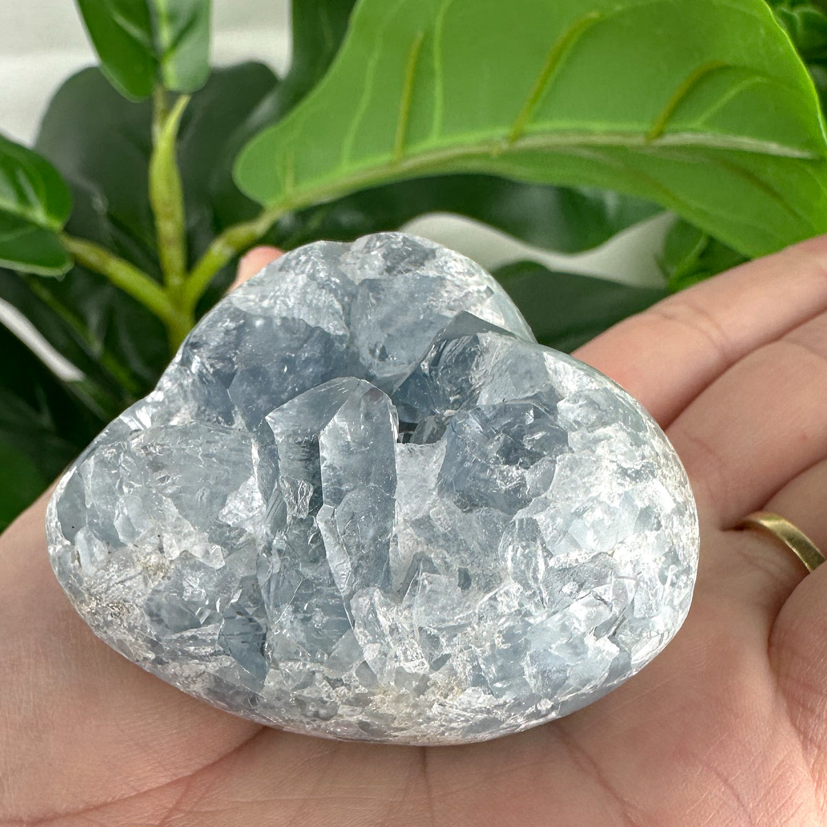 Celestite Heart “Sacred Stillness”