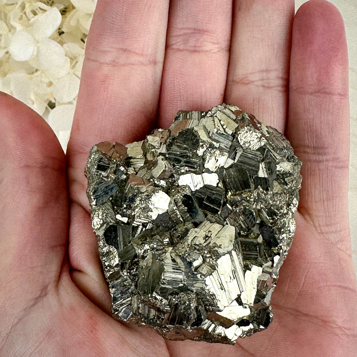 Golden Radiance: High-Quality Pyrite Cluster of Power