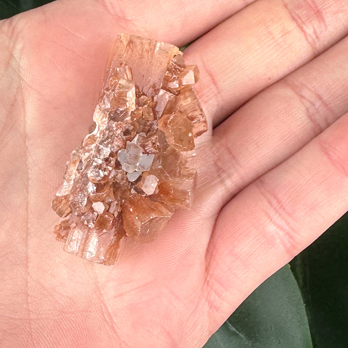 Aragonite Sputnik Cluster | Stability, Grounding & Earth Energy Crystal