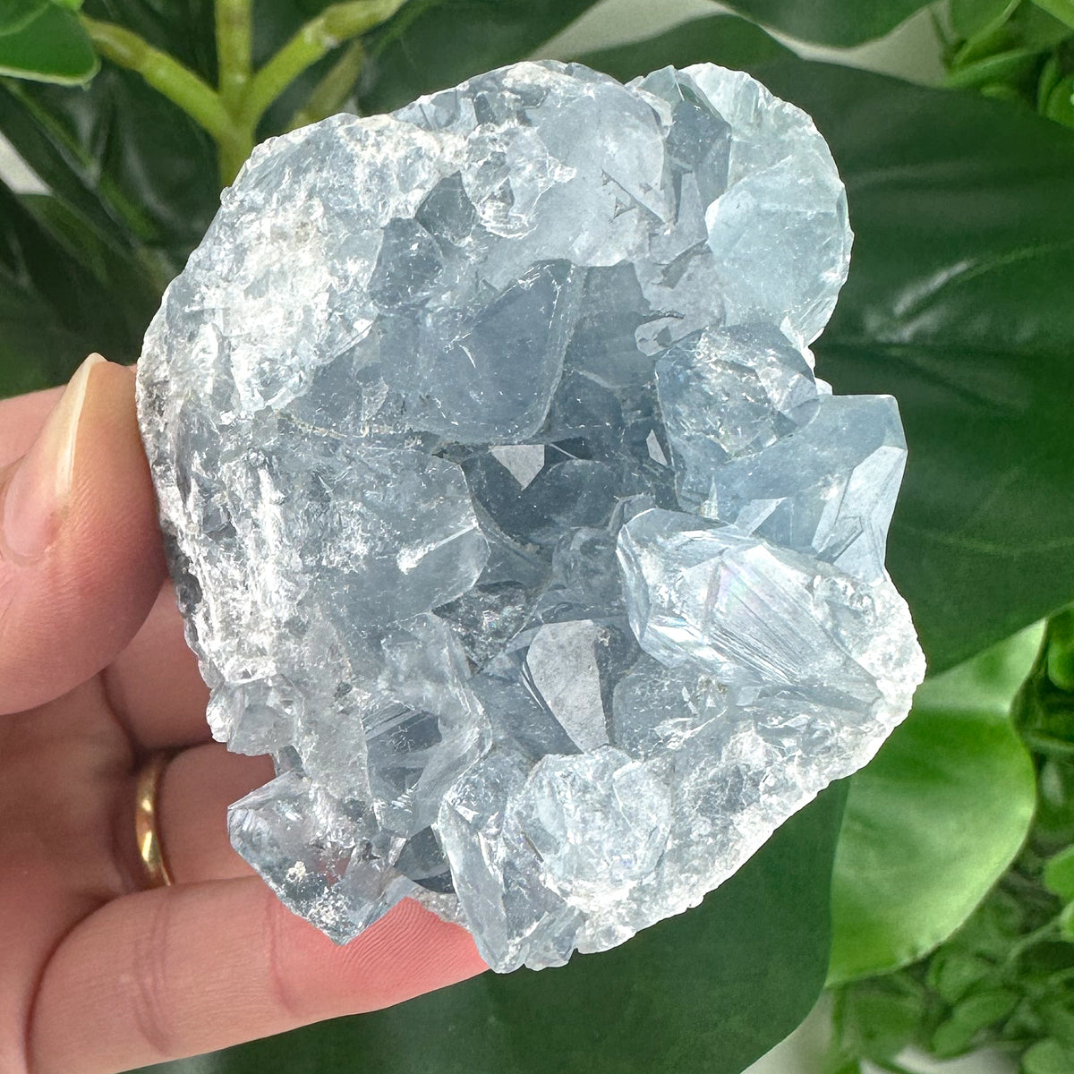 Celestite Cluster “Rainbow Portal”