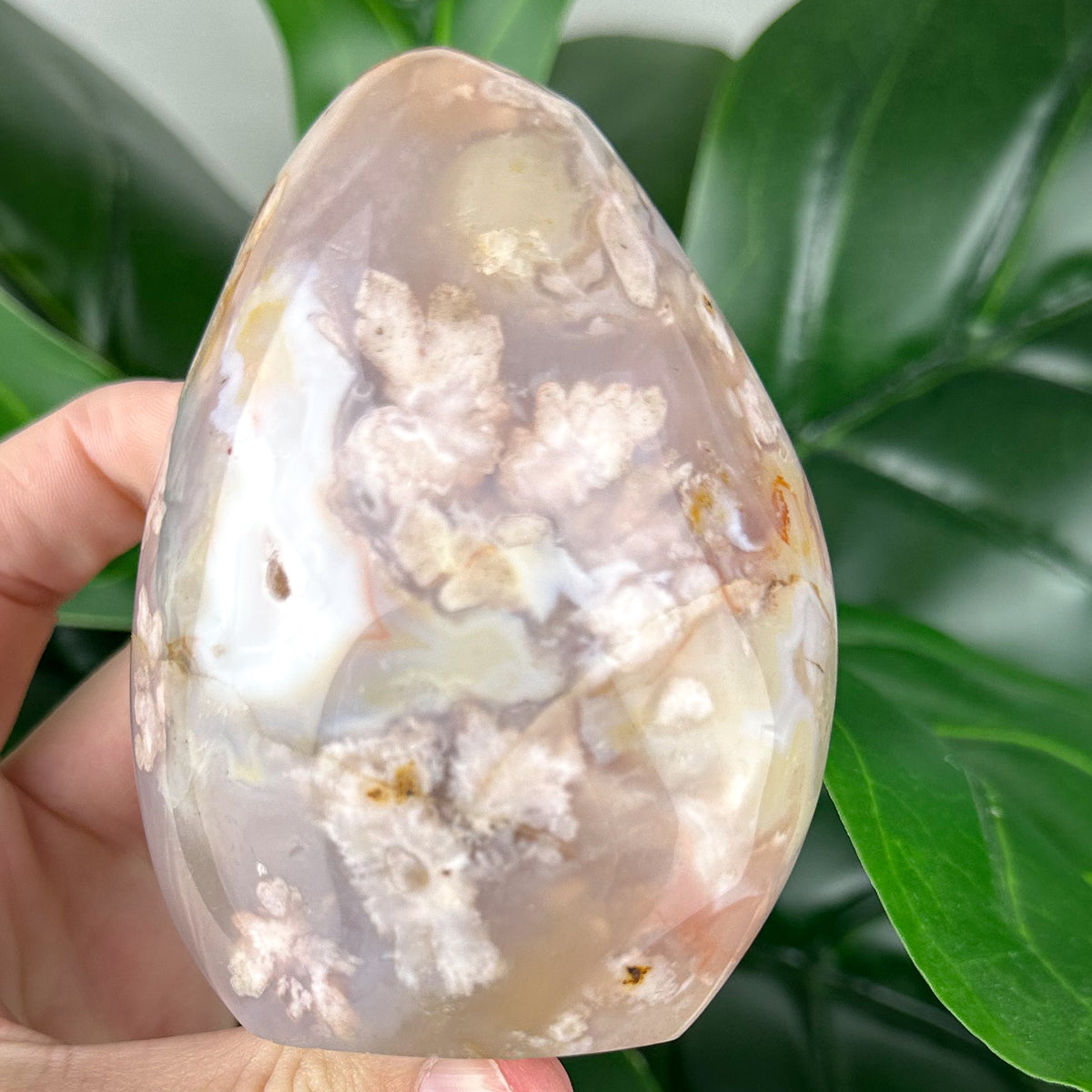 Flower Agate Free Form Crystal | Feminine Energy, Healing & New Beginnings