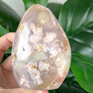 Flower Agate Free Form Crystal | Feminine Energy, Healing & New Beginnings