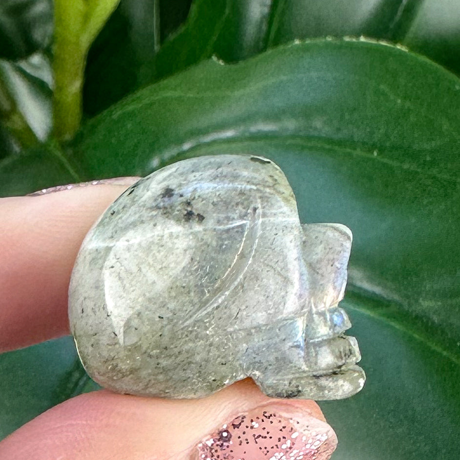 Mini Crystal Skulls | Choose Your Crystal | Spiritual Decor