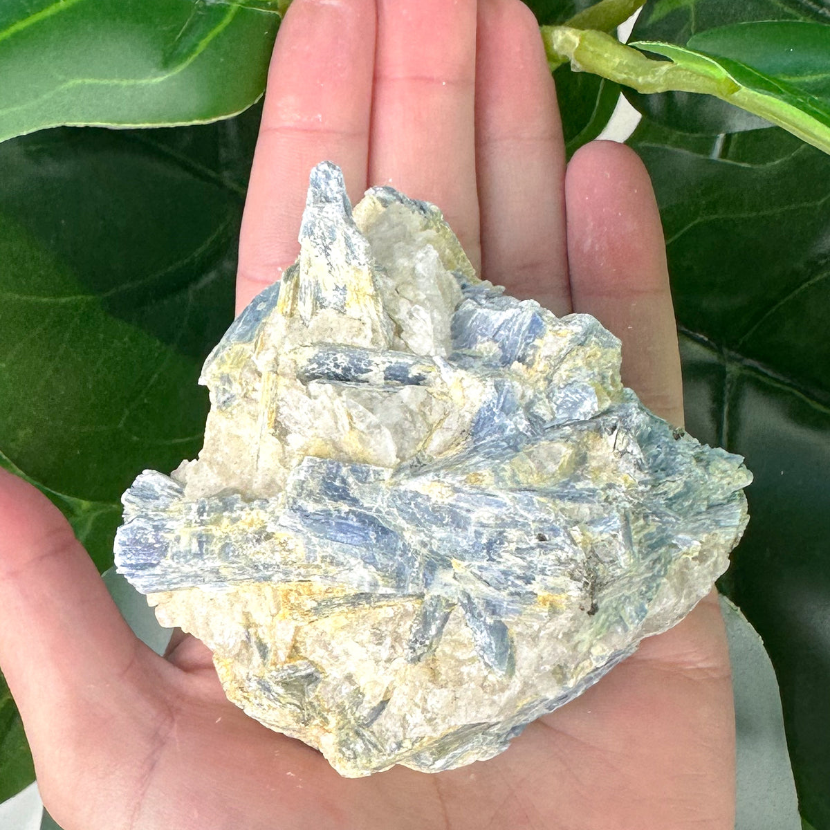 Raw Blue Kyanite Matrix Crystal | Calm & Communication