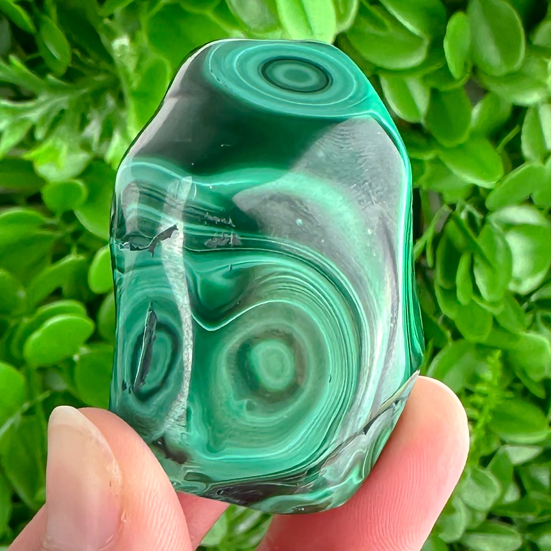 Polished Malachite Palm Stone | 77g | Deep Green Swirls for Emotional Strength & Healing