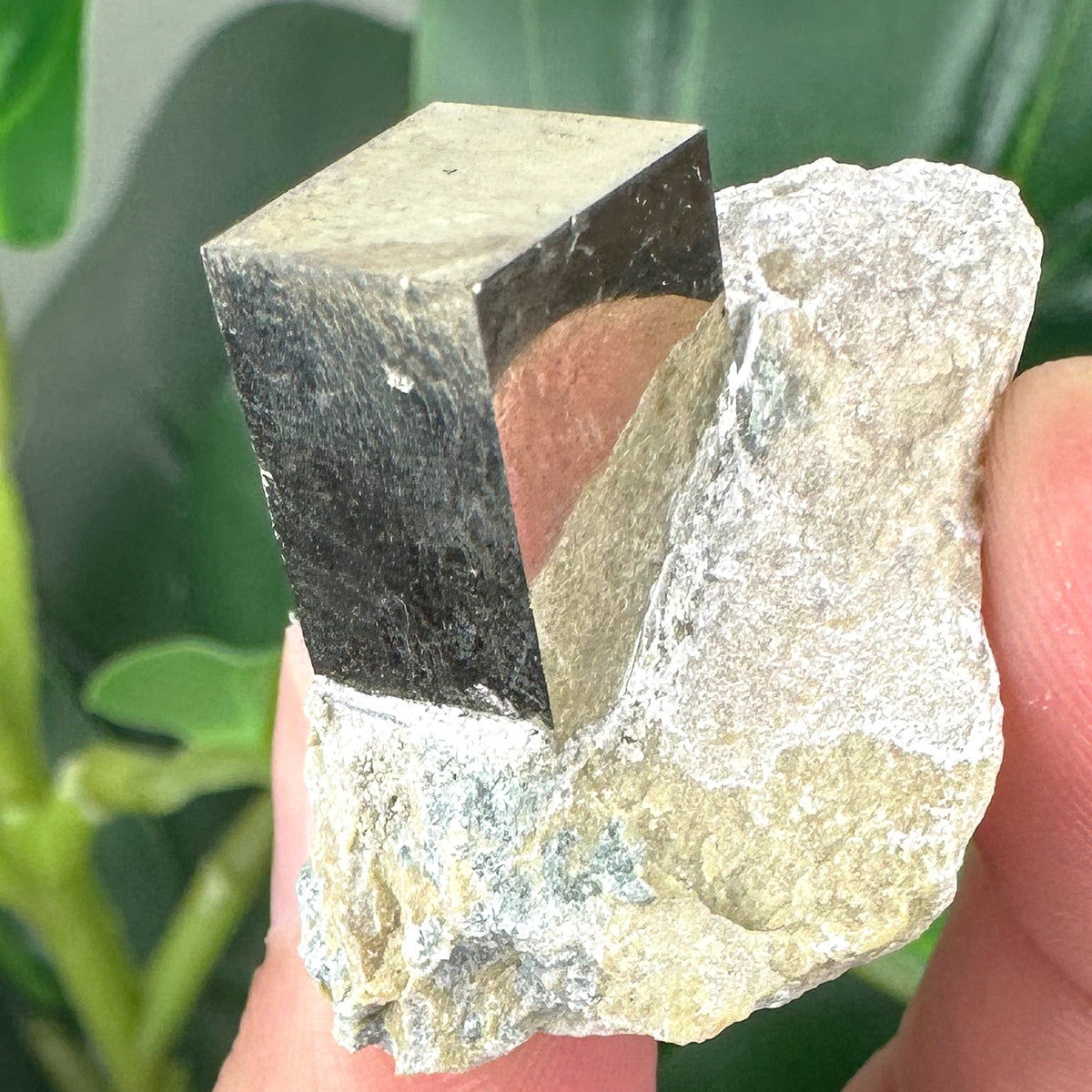 Pyrite in Marlstone Crystal Specimen | Abundance & Success