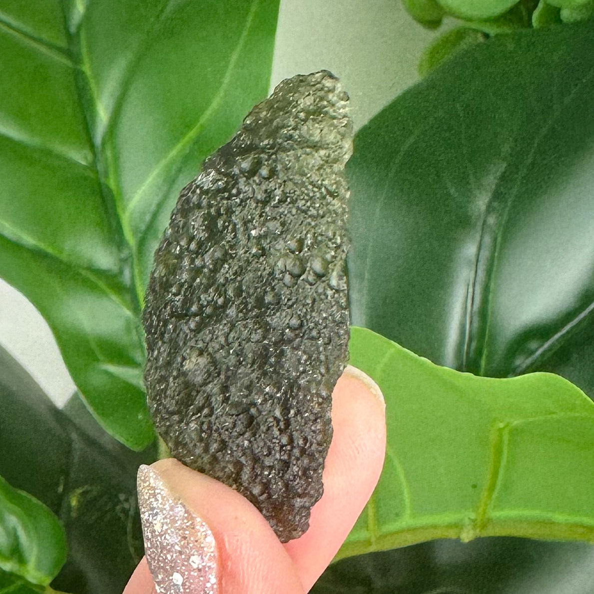 Genuine Czech Republic Moldavite