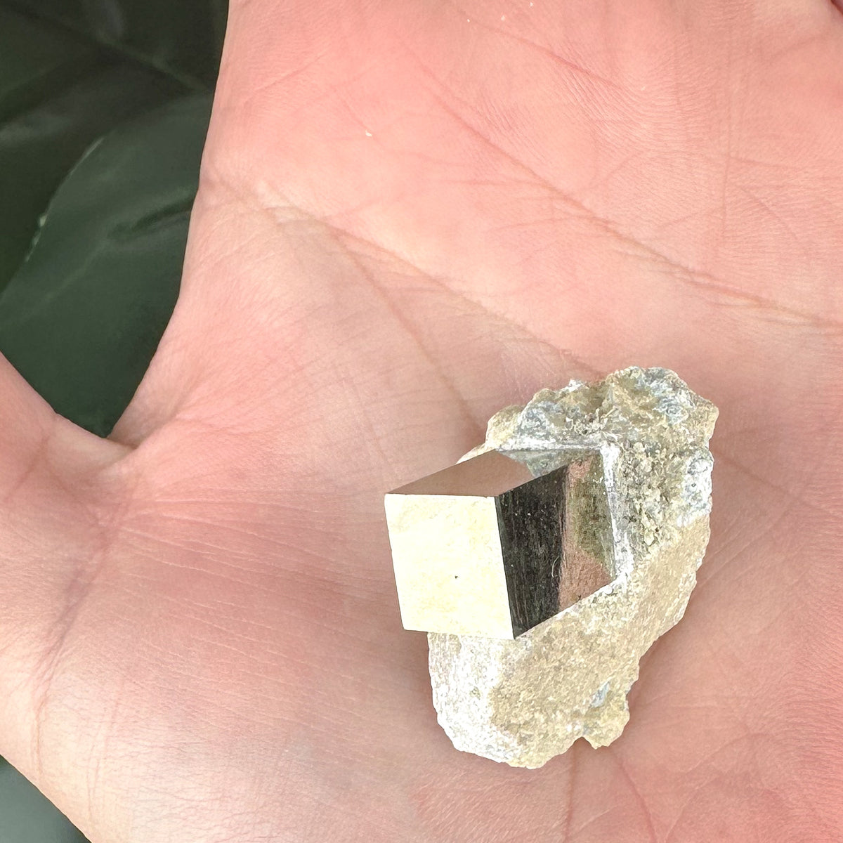 Pyrite in Marlstone Crystal Specimen | Abundance & Success