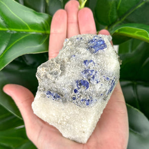 Lazurite Specimen | Intuition, Wisdom & Spiritual Awareness