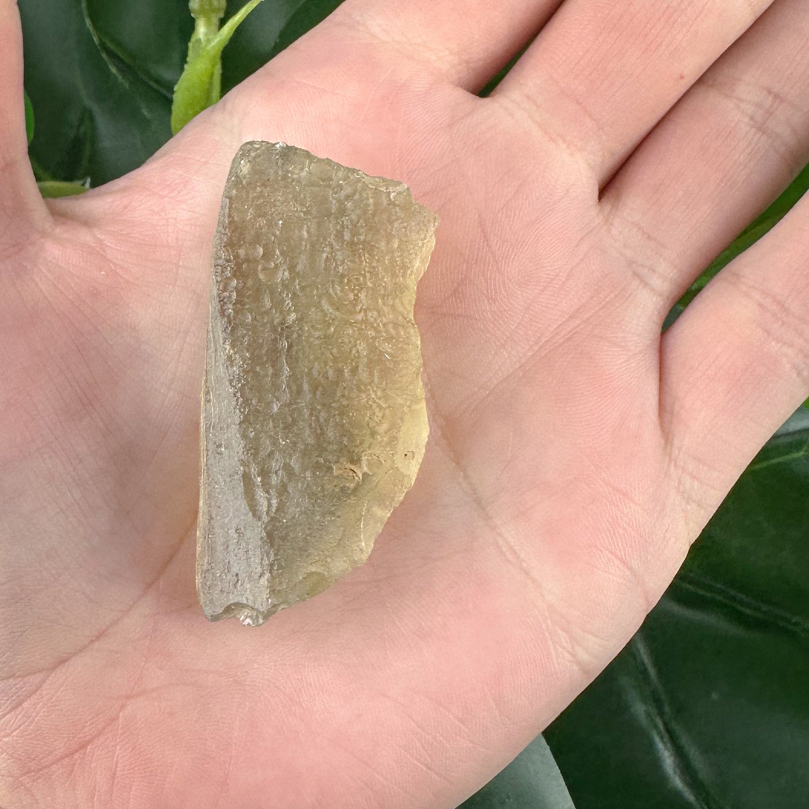 Libyan Desert Glass 23.6g | Golden Tektite Impact Stone