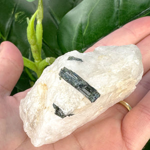 Blue Green Tourmaline Rod in Quartz | Healing & Protection