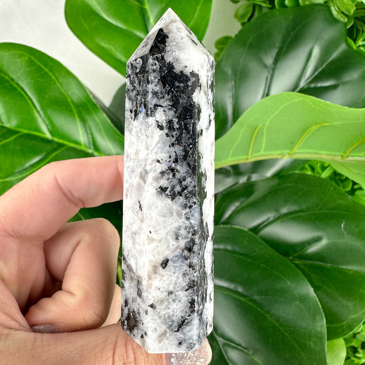 Rainbow Moonstone Towers- Choose Your Own