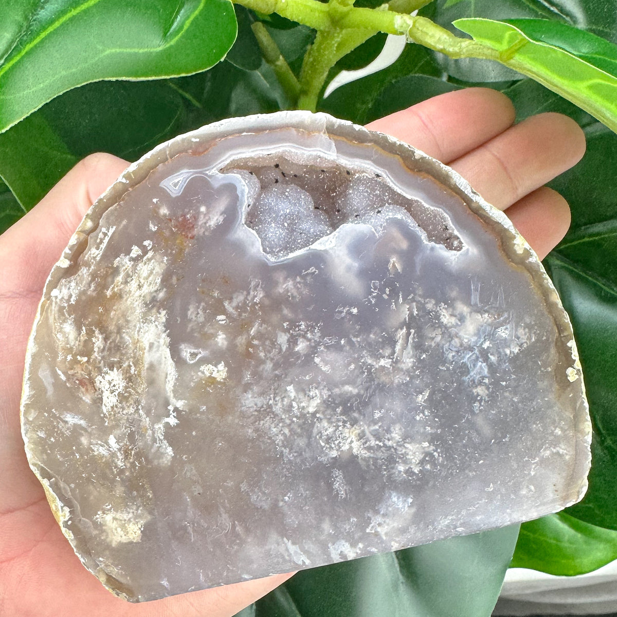 Premium Agate Geode | Natural Druzy Crystal Statement Piece