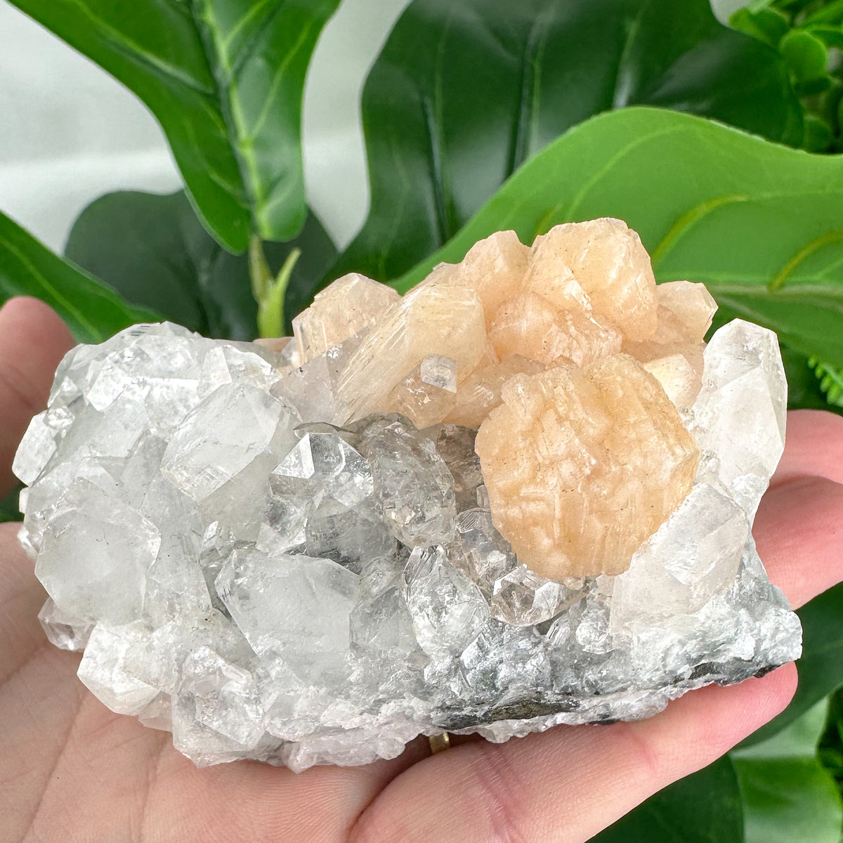 Apophyllite Cluster No.3 – Rainbow Light & Peaceful Vibes (210g)