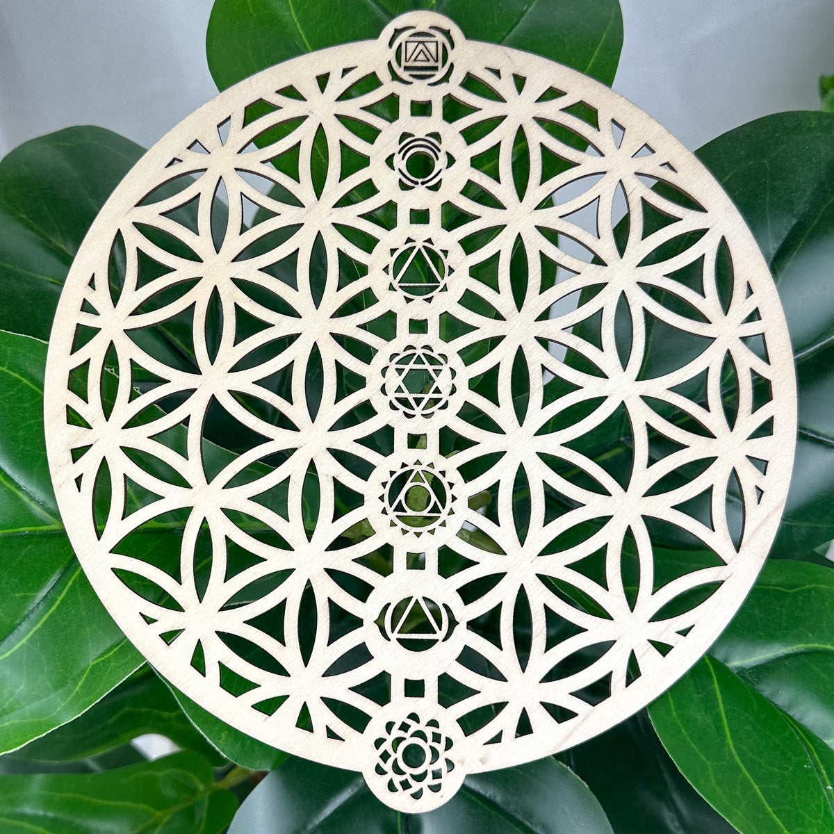 Mini Flower of Life Crystal Grid | Chakra Alignment | Travel Altar | Sacred Space Decor