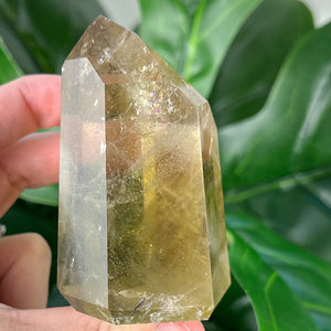 Natural Citrine Generator | Abundance, Confidence & Success Energy