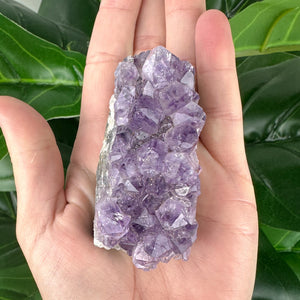 Amethyst Cluster | Natural Crystal | One of a Kind | Spiritual Healing