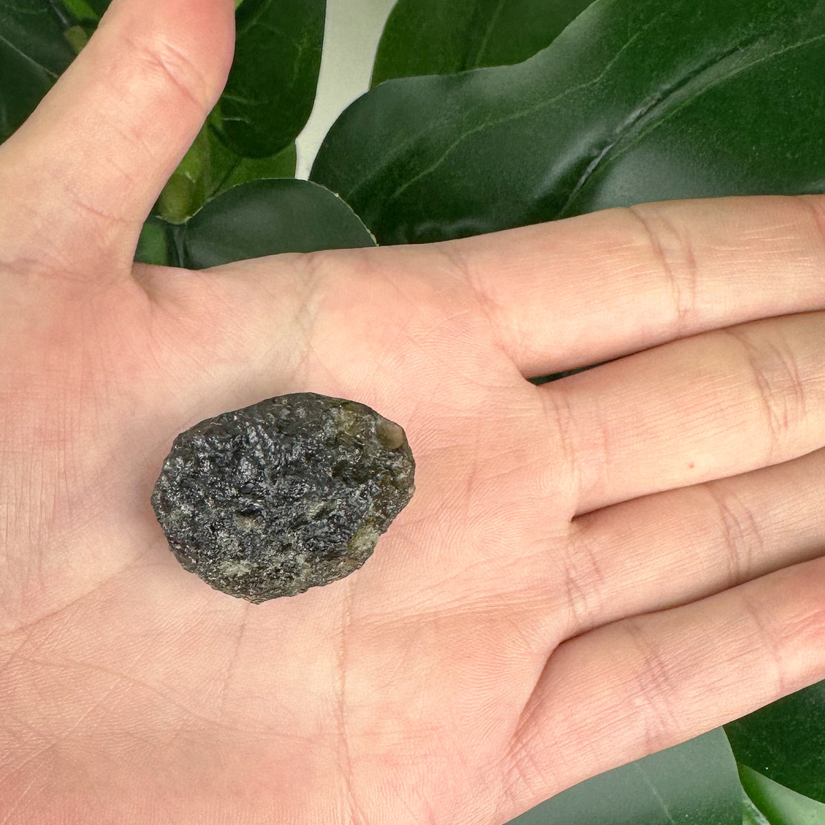 Large Moldavite 46ct | Genuine Tektite Transformation Stone