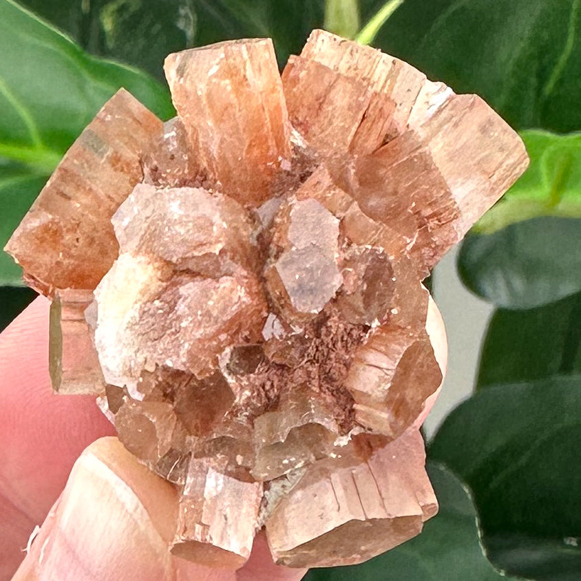 Natural Aragonite Sputnik | Grounding Crystal & Calming Energy