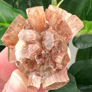 Natural Aragonite Sputnik | Grounding Crystal & Calming Energy