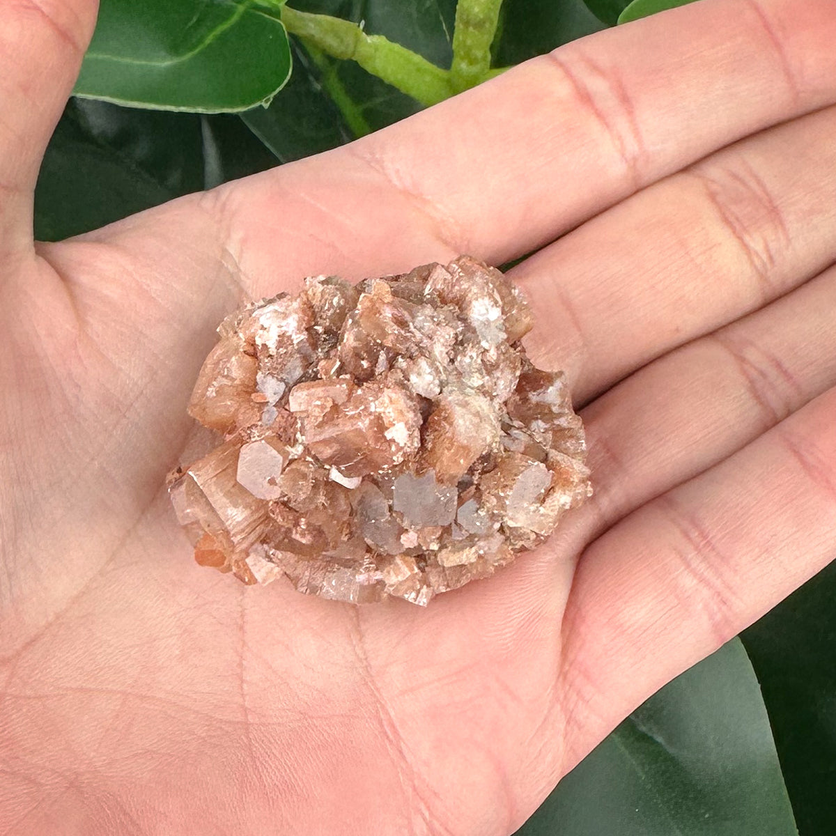 Natural Aragonite Crystal Sputnik | Grounding, Meditation & Calm