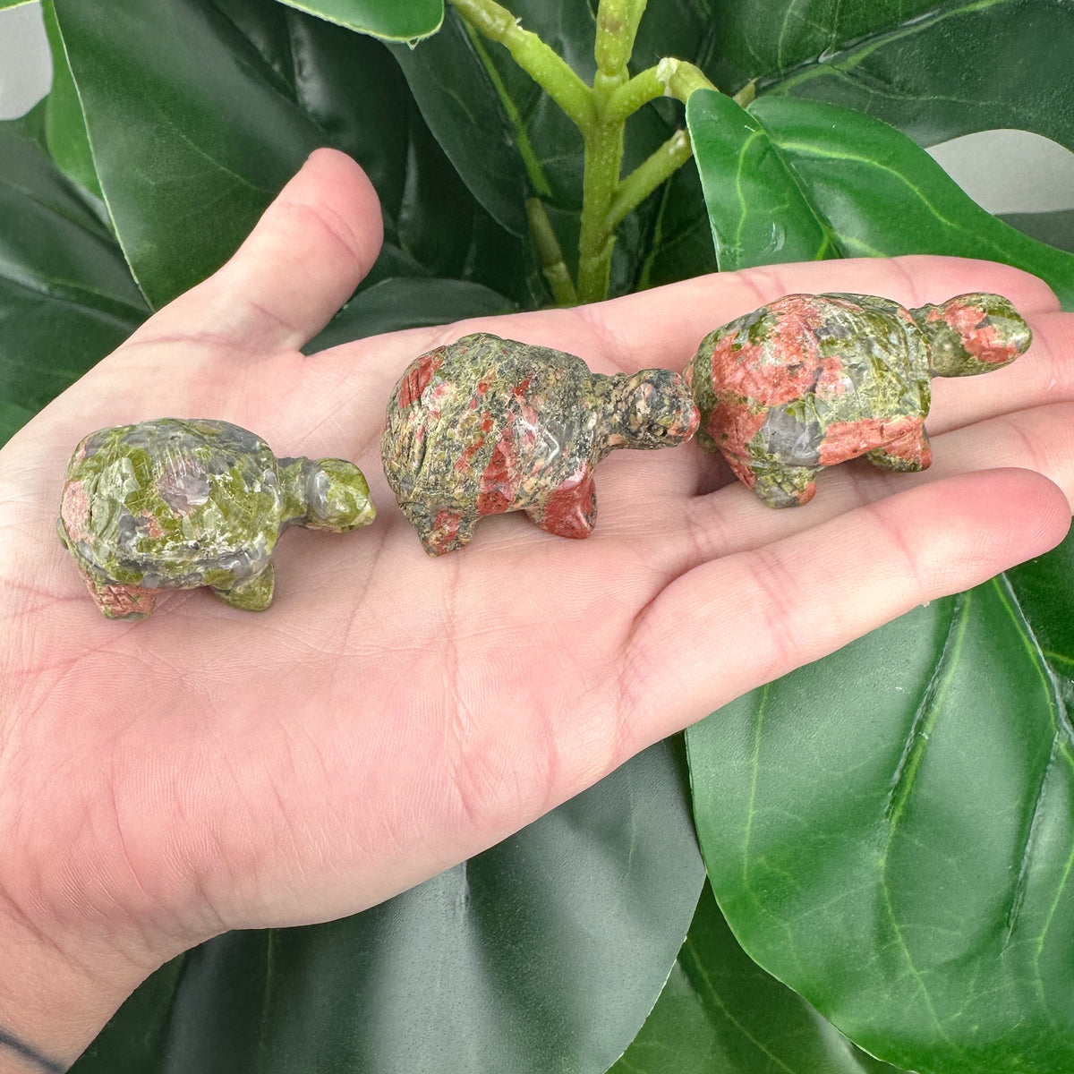 Unakite Turtle Carving | Growth, Healing & Grounding Energy