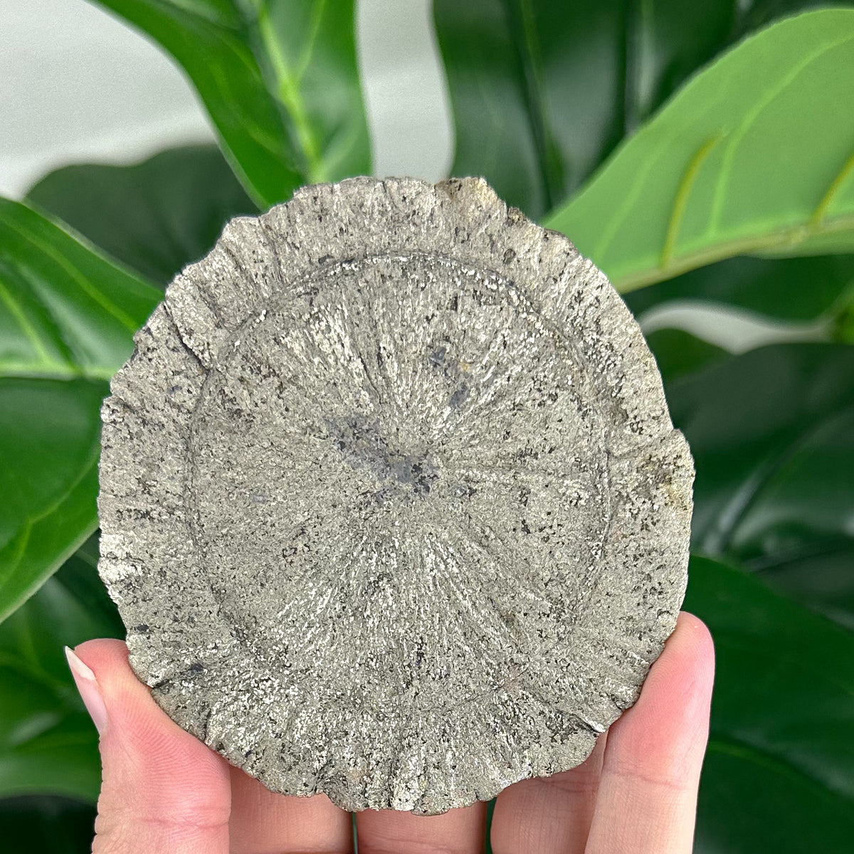 Large Pyrite Sun Crystal (103g), Raw Collector Mineral for Protection & Power