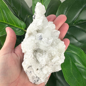 Apophyllite Cluster Crystal | Calm, Intuition & Spiritual Healing
