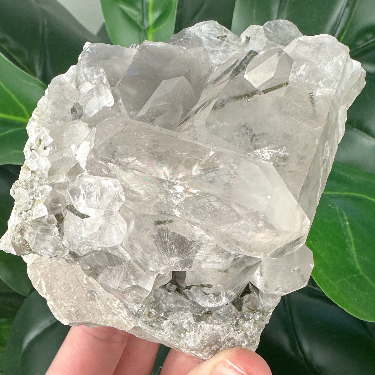Large Epidote in Quartz Statement Piece | Growth & Manifestation