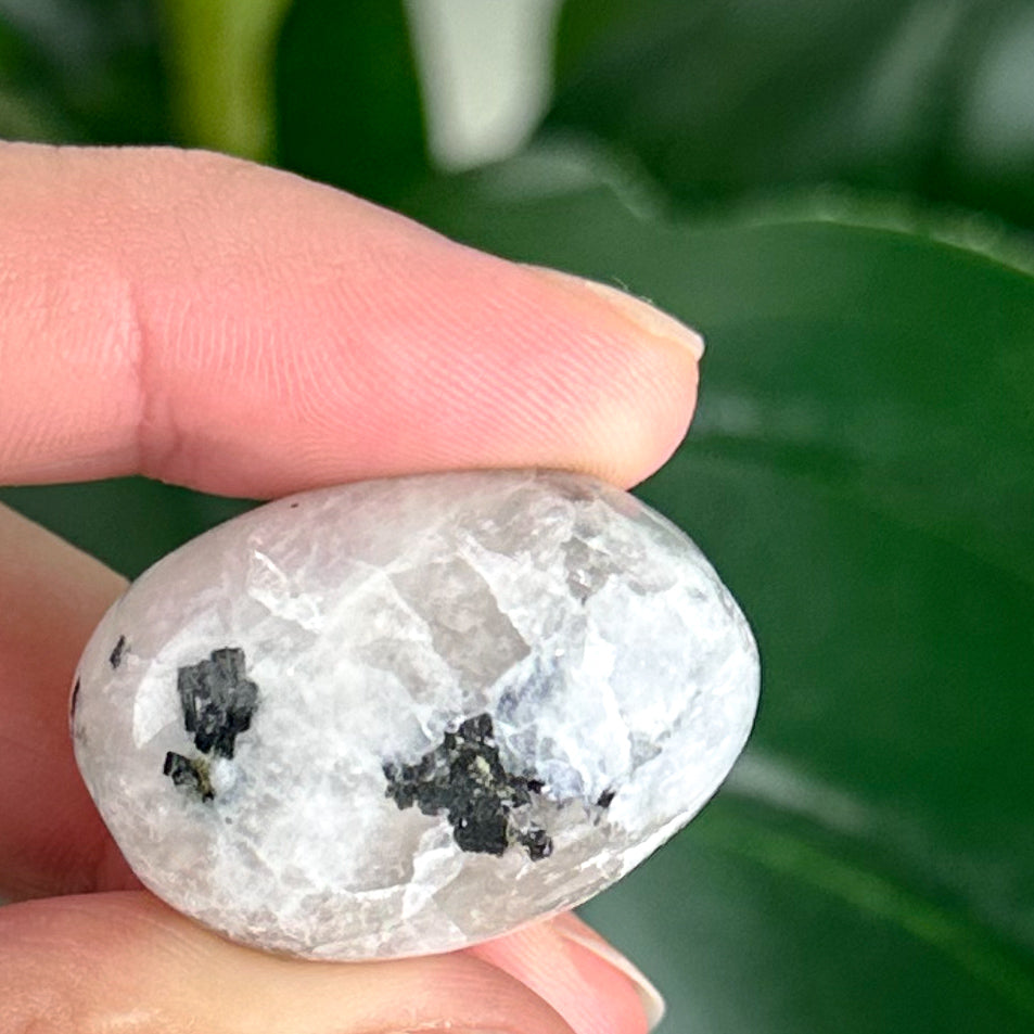 Rainbow Moonstone Tumble | Feminine Energy | Intuition & Protection