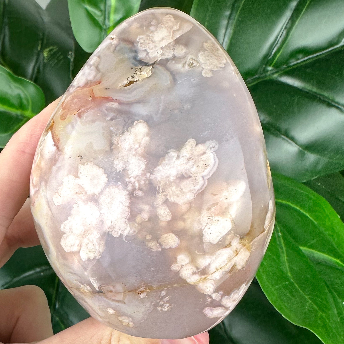 Flower Agate Free Form Crystal | Feminine Energy, Healing & New Beginnings
