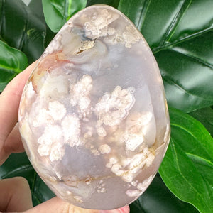 Flower Agate Free Form Crystal | Feminine Energy, Healing & New Beginnings