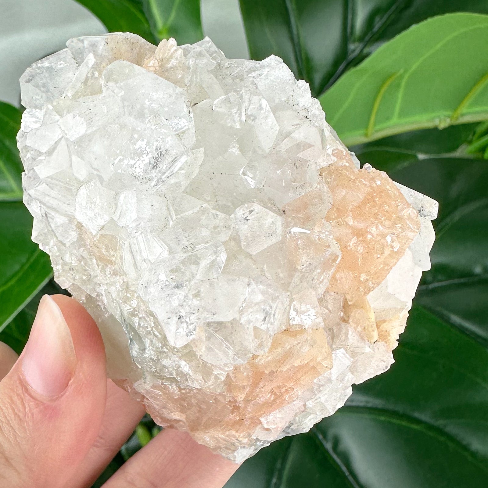 Apophyllite Cluster No.4 – Delicate Points & Soft Tones (180g)