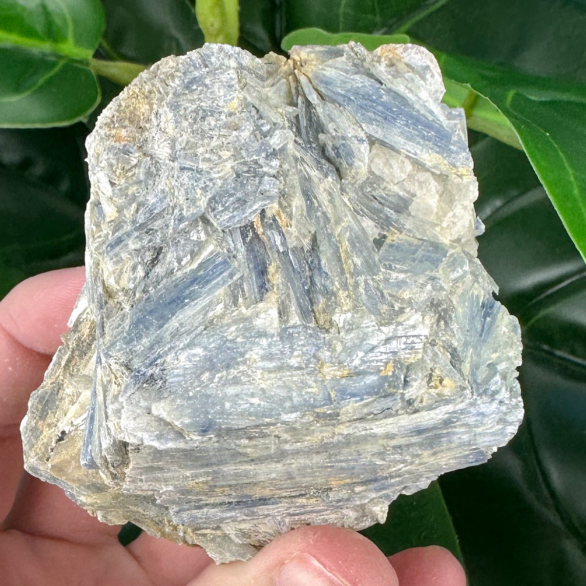 Blue Kyanite Mineral Specimen | Alignment, Calm & Intuition