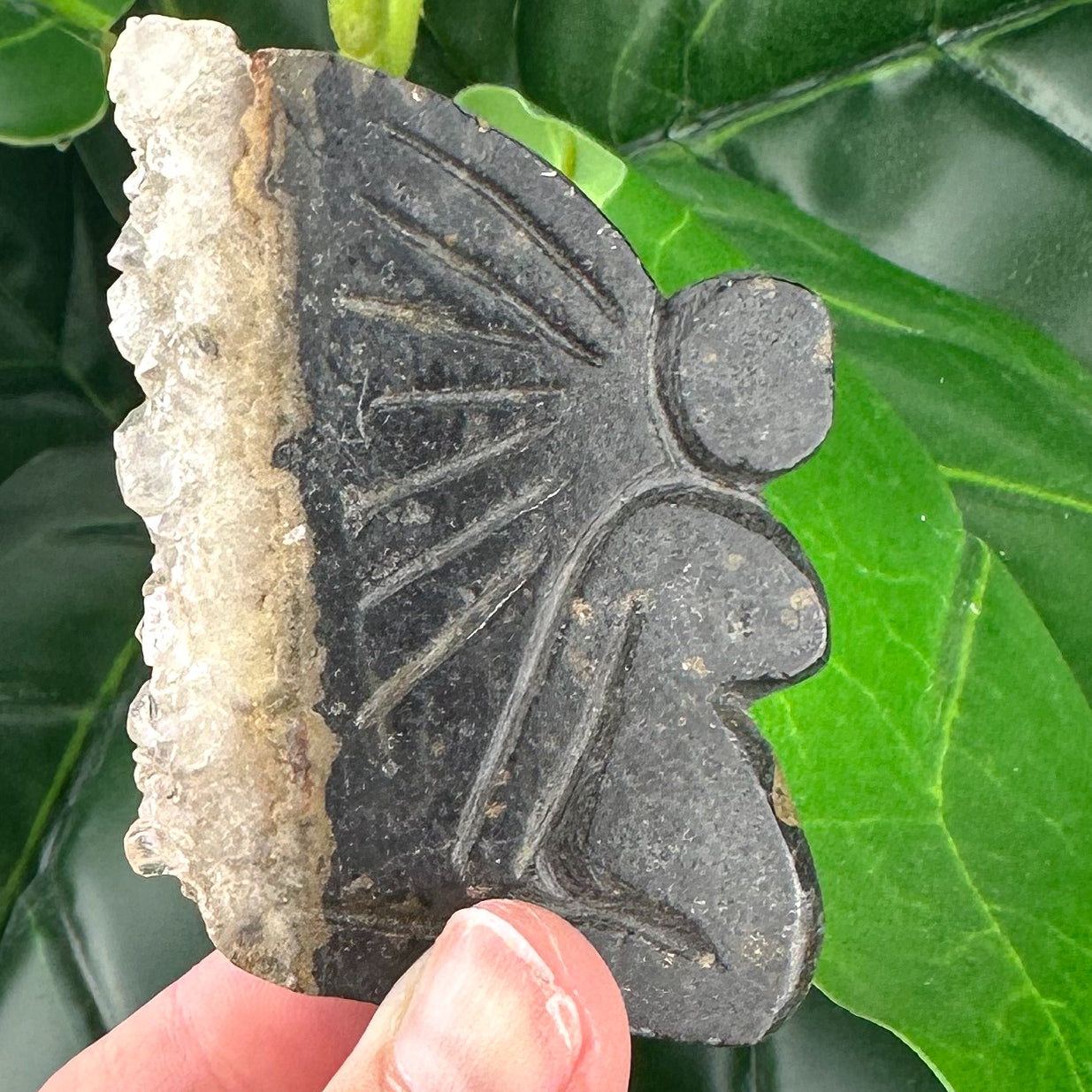 Hand Carved Fairy with Quartz Druzy Wings | Spiritual Crystal Decor (41g)