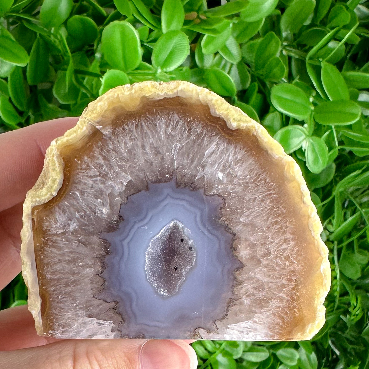 Golden-Tipped Agate Slice with Lilac Druzy Center | Freestanding Polished Crystal