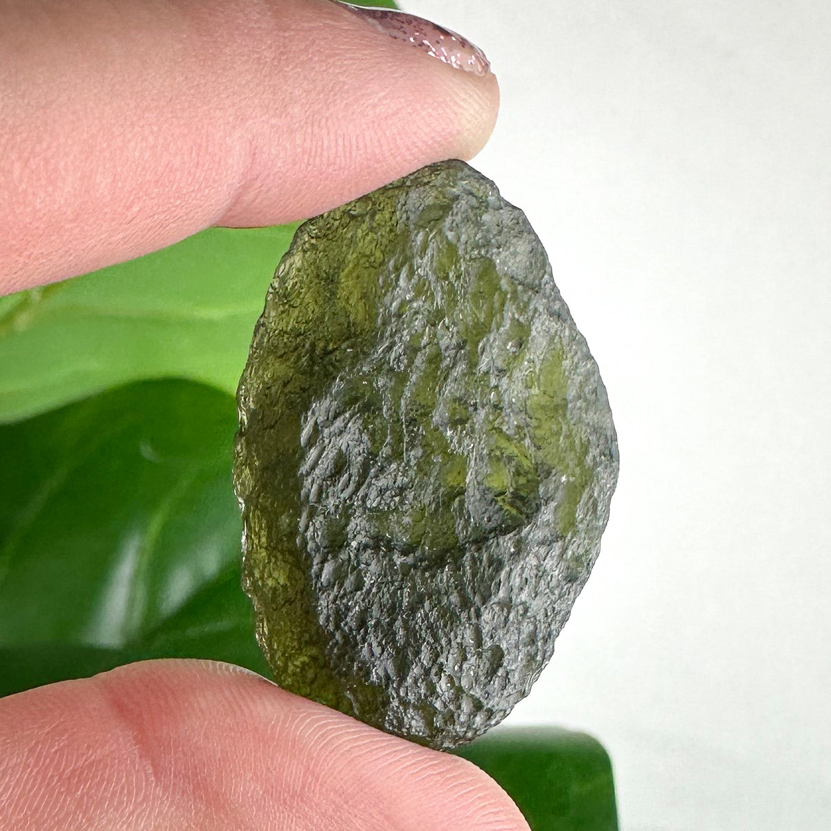 Genuine Czech Republic Moldavite- Choose Your Own
