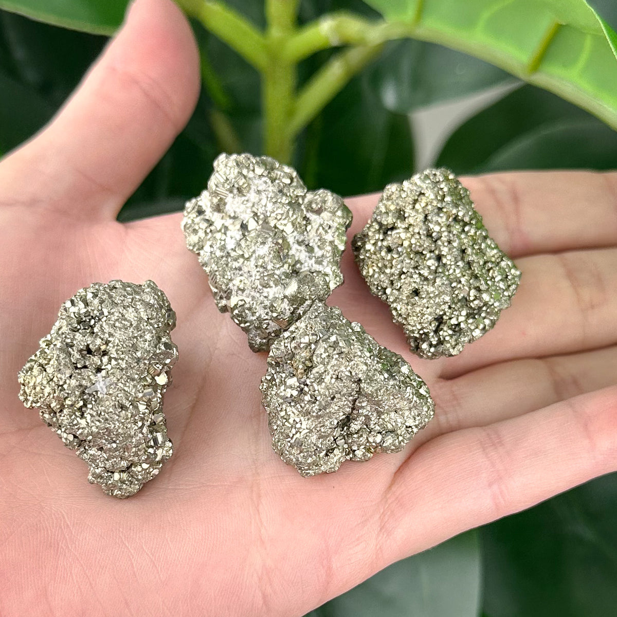 Pyrite Cluster | Handpicked | Abundance & Protection Crystal