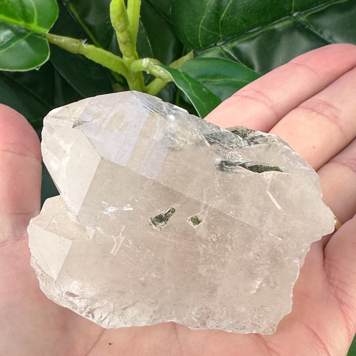 Raw Epidote in Quartz | Healing, Balance & Growth