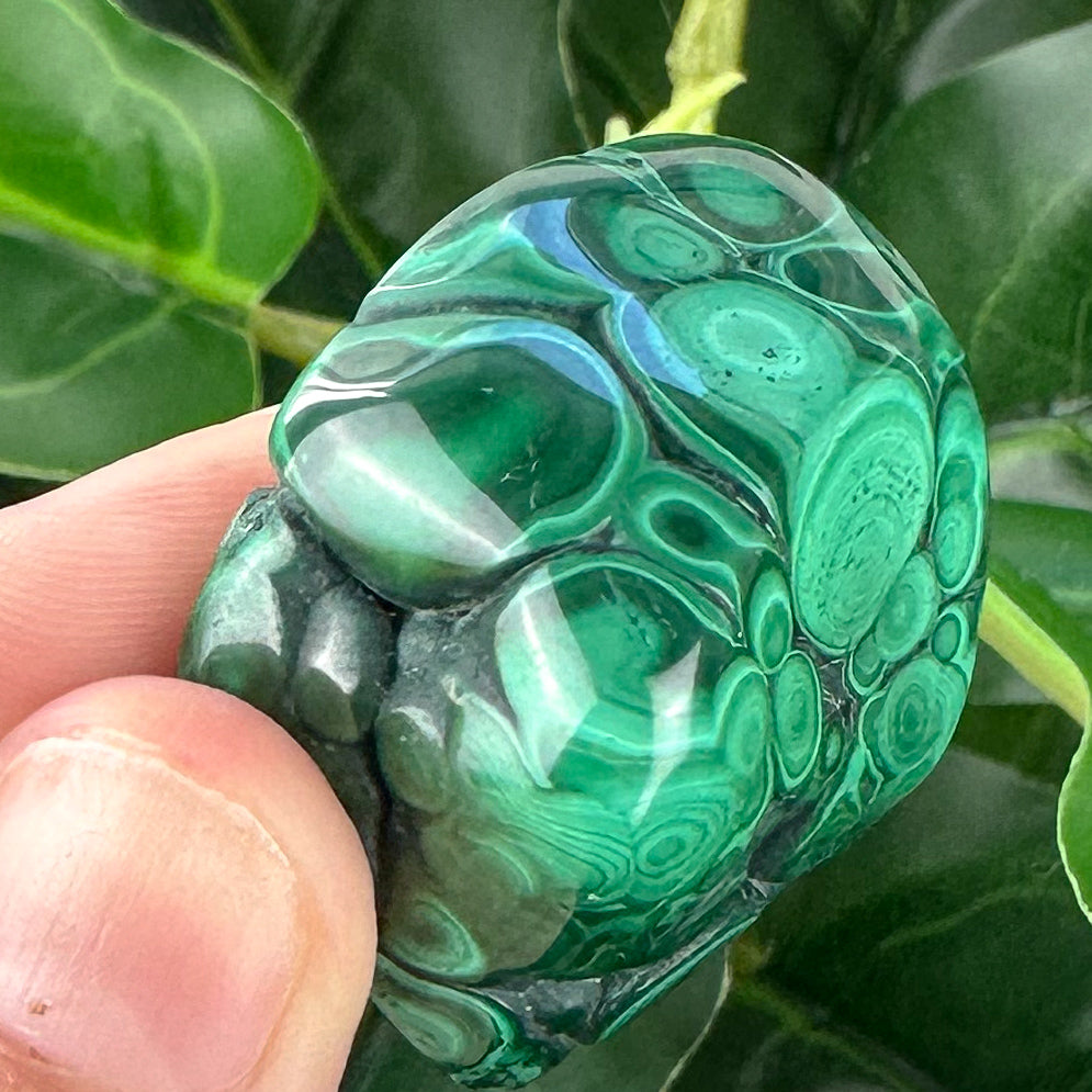 Small Malachite Crystal | Protection, Transformation & Healing