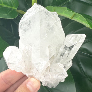 Clear Quartz Cluster | Natural Crystal | Clarity & Energy Amplification