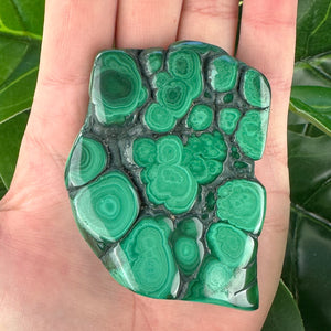 Polished Malachite Crystal | Grounding, Confidence & Protection