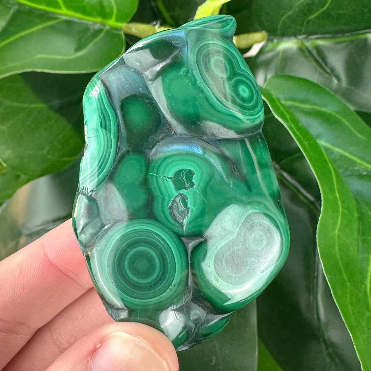 Premium Malachite Crystal | Protection, Confidence & Heart Healing